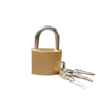 Durable lock design for doors, lockers, bags, and storage use Comes with 3 keys for easy and convenient access Ideal for home, shop, office, and everyday security needs
